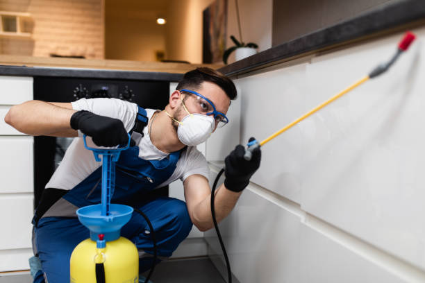 Best Pest Control for Businesses  in Brooksville, FL