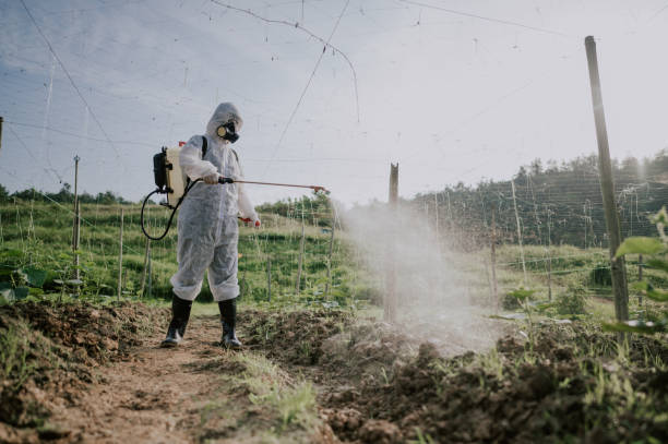 Best Mosquito Control Services  in Brooksville, FL