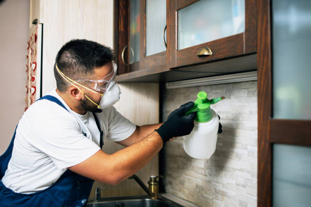 Best Wasp Removal Services  in Brooksville, FL