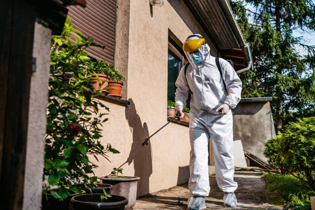 Best Affordable Pest Control Services  in Brooksville, FL