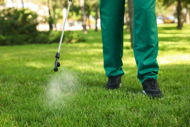 Best Emergency Pest Control  in Brooksville, FL