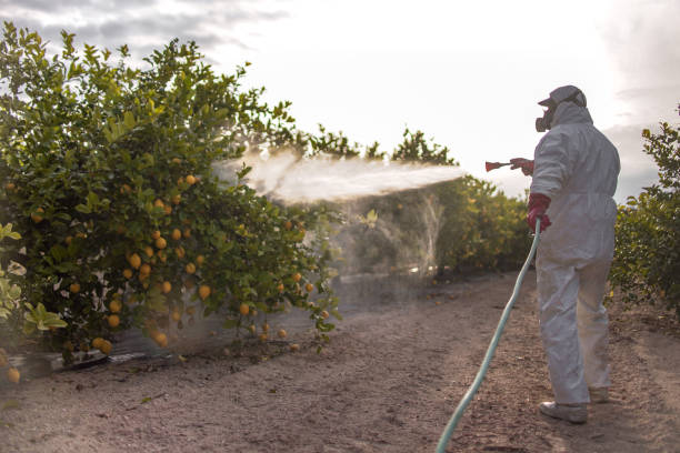  Brooksville, FL Pest Control Pros
