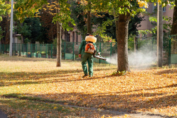 Best Pest Removal Services  in Brooksville, FL