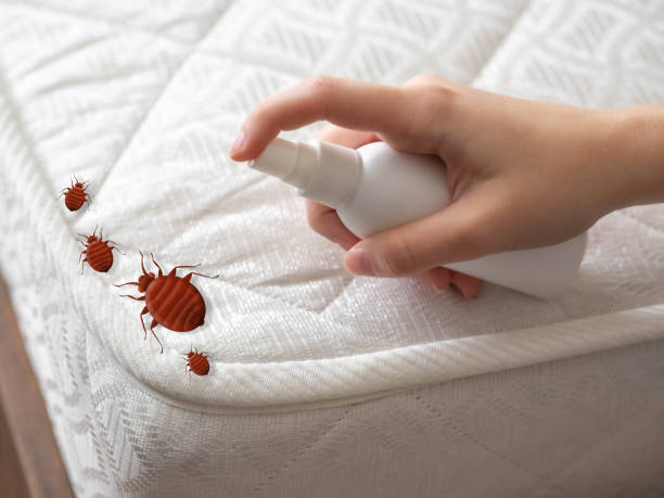 Best Pest Prevention Services  in Brooksville, FL