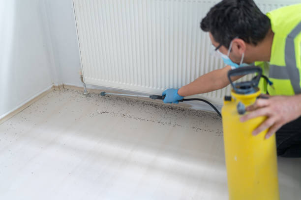 Best Cockroach Control Services  in Brooksville, FL