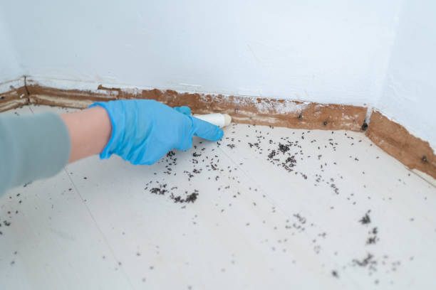 Brooksville, FL Pest Control Company