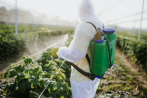 Best Pest Control Near Me  in Brooksville, FL